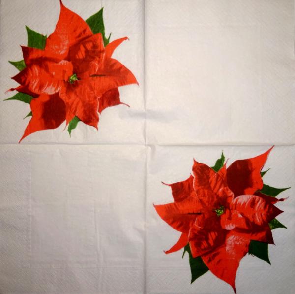 085 Christmas Flowers - 3-ply (cream/Edge grün) - Ihr
